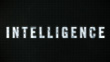 Intelligence
