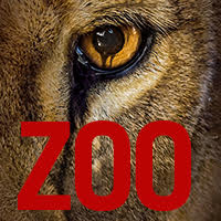 Zoo - CBS.com