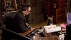 /shows/person_of_interest/episodes/The High Road