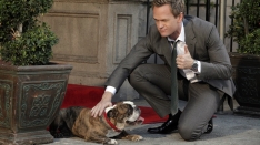 /shows/how_i_met_your_mother/episodes/The Autumn of Break-Ups