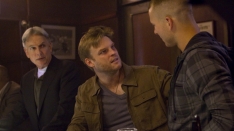 /shows/ncis/episodes/Shell Shock (Part 2)
