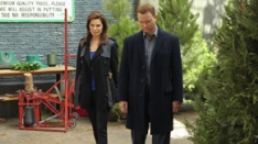 /shows/csi_ny/episodes/The Real McCoy