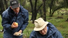 /shows/ncis/episodes/Detour