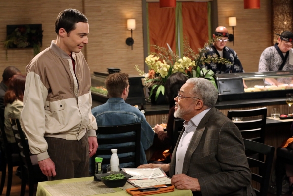 Episode 14 Season 7 Big Bang Theory