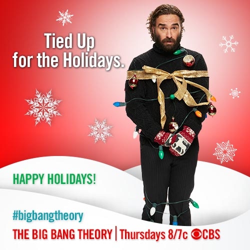 The Big Bang Theory Johnny Galecki/Leonard Hofstadter Appreciation