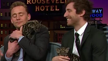 International Cat Day With Hiddleston, Middleditch & Baby Leopards