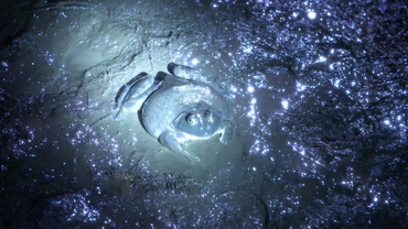 6 Insider Facts From Criminal Minds, ‘Future Perfect\'