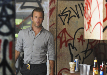 Everything We Know About Danno's Past